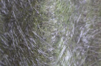 Waun Y Clyn fibreglass roof work